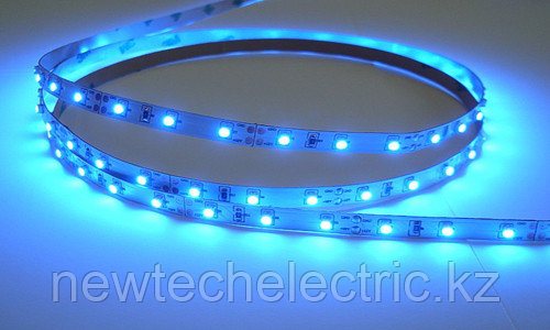 LED Лента 5050-60 (синяя) водостойкая (10м)