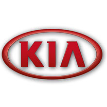 Тормозные диски Kia Sorento (02-08, задние, D314-v87, Protechnic)