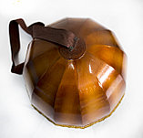 Дауылпаз средний, фото 3