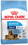 Royal Canin Maxi Starter сухой корм для щенков до 2х месяцев, беременных и кормящих сук крупных пород