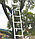 Односекционная приставная лестница с перекладинами 15 ступ. KRAUSE STABILO, фото 2