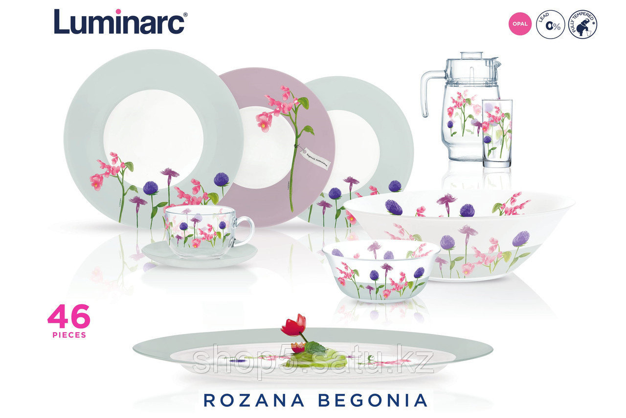 Сервиз столовый Rozana Begonia 46 предметов на 6 персон
