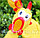 Кричащая курица (игрушка антистресс) 38 см, фото 3