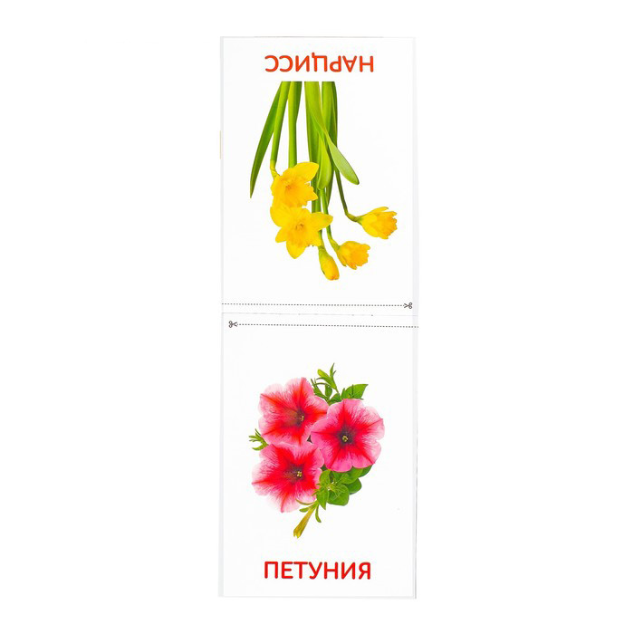 Карточки Домана Для Самых Маленьких Купить