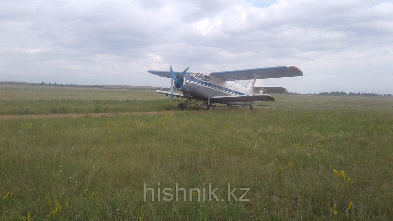 Самолет Ан-2с/х