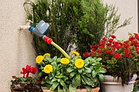 Система автоматического полива без емкости и насоса