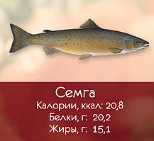 Семга (6-7; 7-8;)