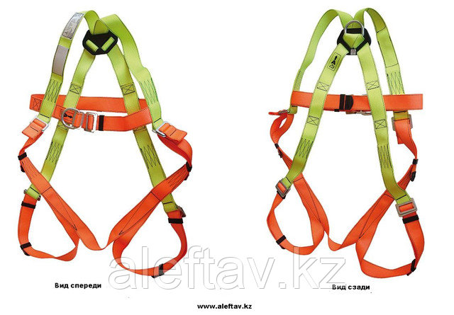 Fullbody harness