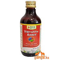 Видьярти Амрит сироп - Тоник для Интеллекта ( Vidyarthi Amrit MAHARISHI AYURVEDA), 200 мл