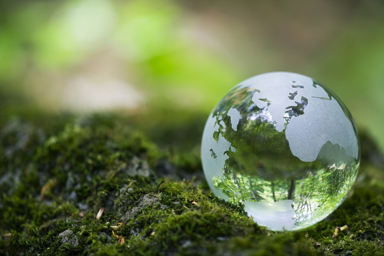 Пректирование «Оценка воздействия на окружающую среду» и раздел «Охрана окружающей среды»