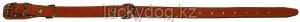 Ошейник 20 без украшений Наша ручная работа, 33-45см х 20мм
