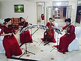 Струнный квартет на любое мероприятие в Павлодаре, фото 2