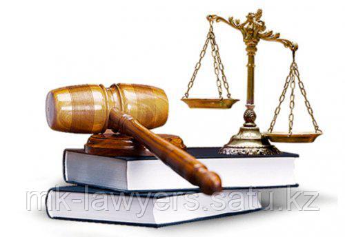 Судебные практики (представительство в судах различной юрисдикции)