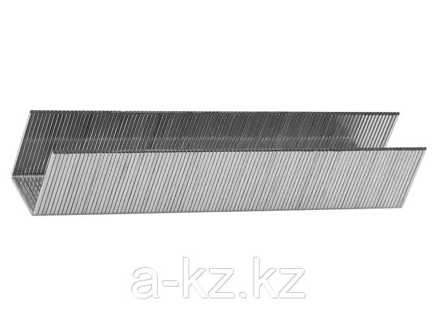 Скобы для степлера механического STAYER 3159-14_z01, тип 53, красные, 14мм, 1000шт., фото 1