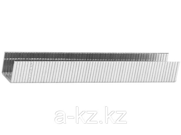 Скобы для степлера механического STAYER 31610-10, PROFI, закаленные, тип 140, зеленые, 10мм, 1000шт., фото 1