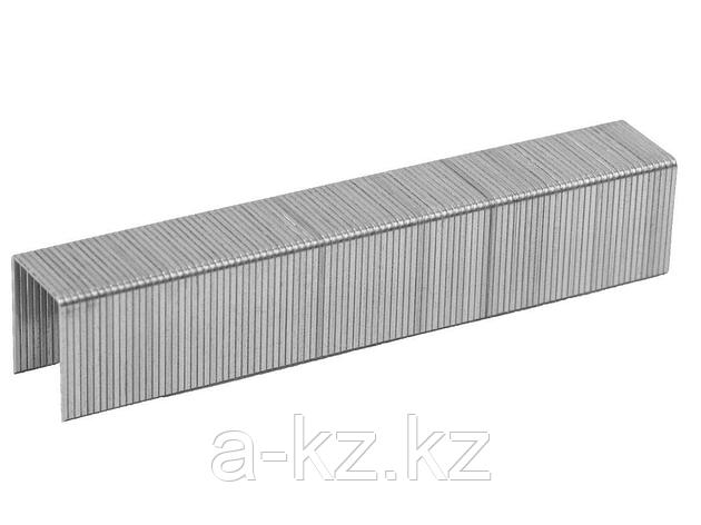 Скобы для степлера механического ЗУБР 31620-10-5000, ЭКСПЕРТ, закаленные, тип 53, красные, 10мм, 5000шт., фото 1