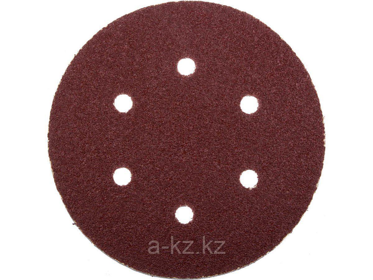 Круг шлифовальный на липучке ЗУБР 35566-150-060, МАСТЕР, универсальный, из абразивной бумаги на велкро основе,