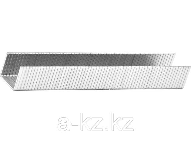 Скобы для степлера механического KRAFTOOL 31680-10, из закаленной проволоки, тип 140 (зеленые), 10мм, 1000шт., фото 1