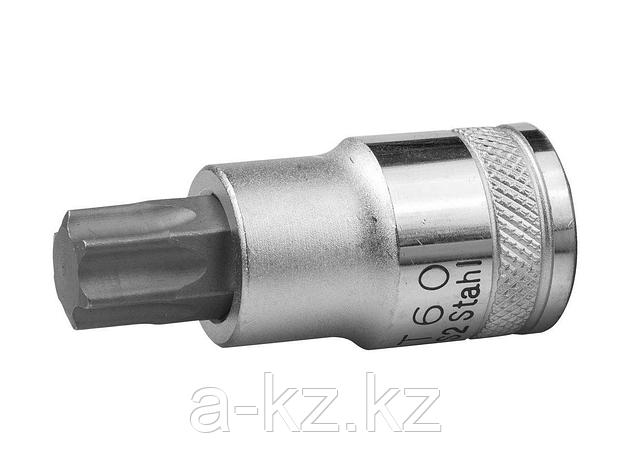 Бита для шуруповерта с торцовой головкой KRAFTOOL 27905-60_z01, INDUSTRIE QUALITAT, материал S2, TORX, сатинированная, 1/2", Т60, фото 2
