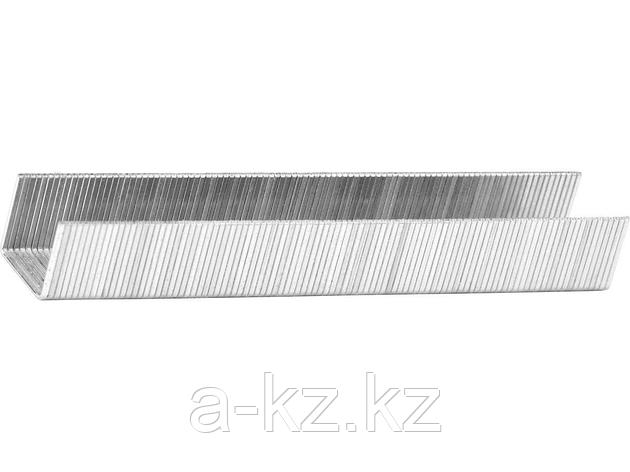 Скобы для степлера механического KRAFTOOL 31670-18, EXPERT, из закаленной проволоки, тип 53 (красные), 18мм,, фото 2