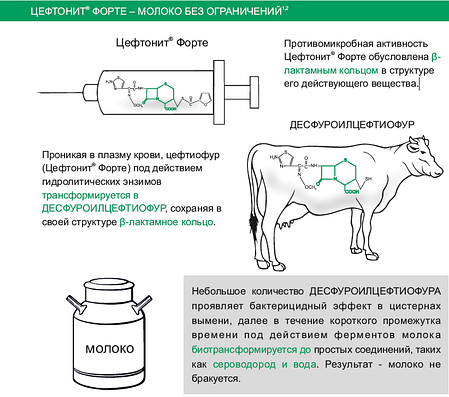Цефтонит Форте 100 мл, фото 1