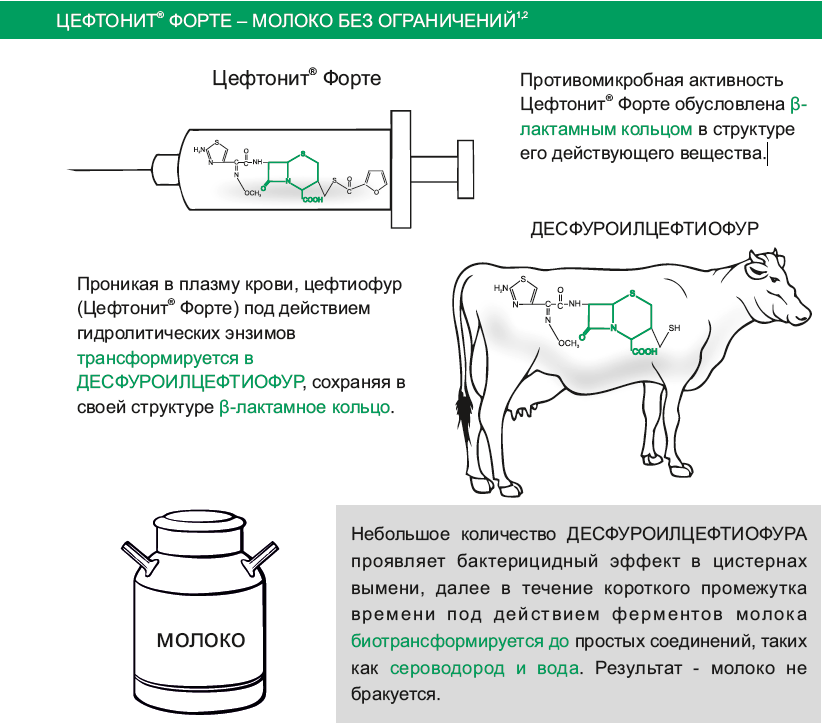 Цефтонит Форте 100 мл: продажа, цена в Петропавловске. Ветеринарные ...