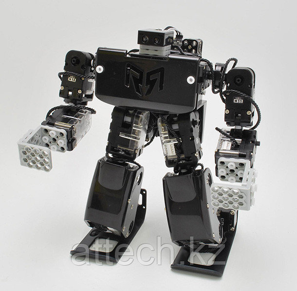 Набор для конструирования роботизированный RQ-HUNO (Robobuilder)