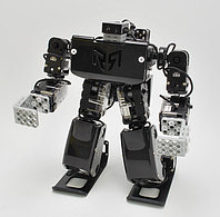 Набор для конструирования роботизированный RQ-HUNO (Robobuilder), фото 1