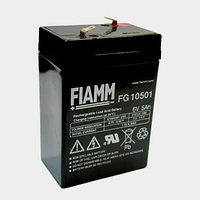 FIAMM FG 10501