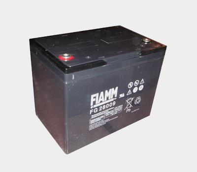 FIAMM FG 28009 - фото 1 - id-p55072657
