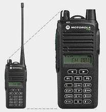 Motorola P180