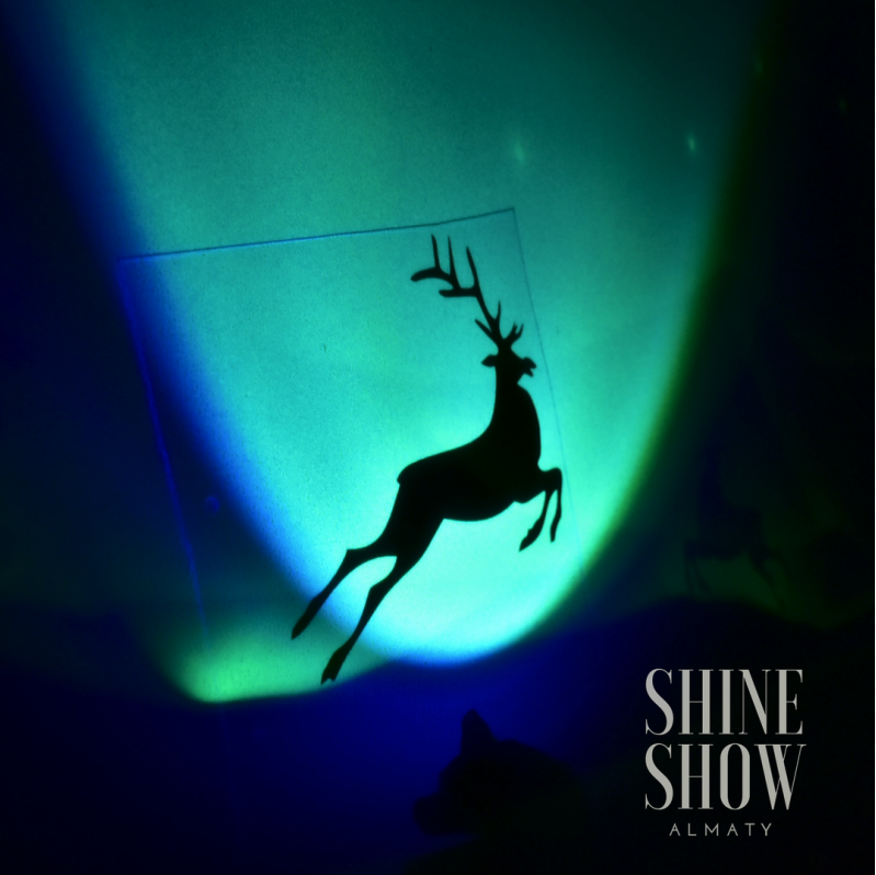Световое шоу "Shine Show" - фото 1 - id-p55106646