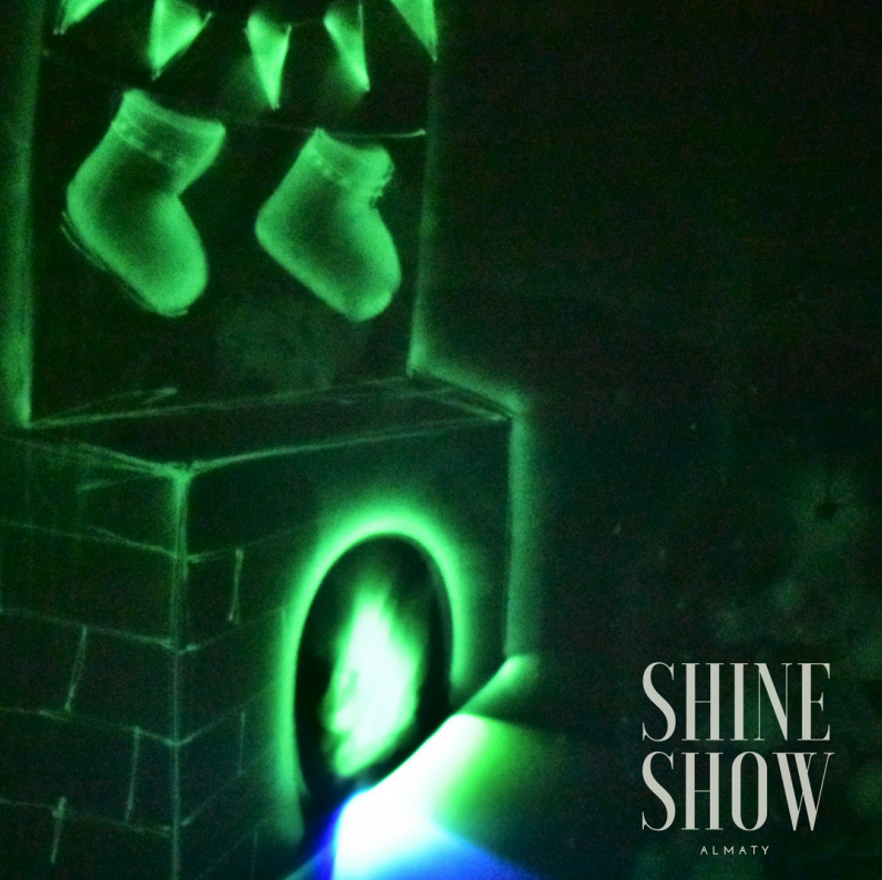 Световое шоу "Shine Show" - фото 6 - id-p55106646