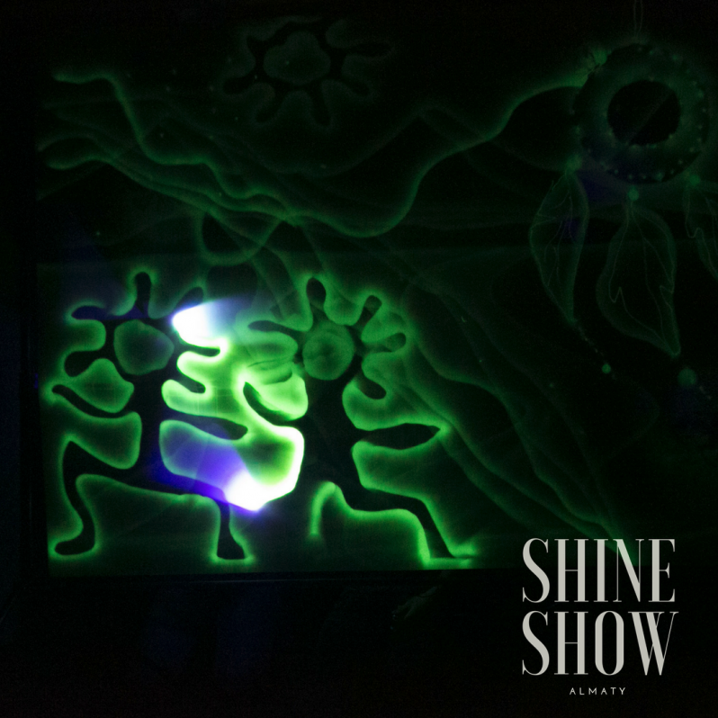 Световое шоу "Shine Show" - фото 5 - id-p55106646