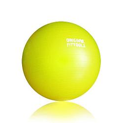 Гимнастический мяч 65 см, с насосом (FT-GBR-65) 