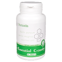 Essential C-curity (60)