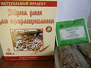 Зерна ржи с комплектами для проращивания 5шт по 50гр, 250г