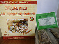 Зерна ржи с комплектами для проращивания 5шт по 50гр, 250г