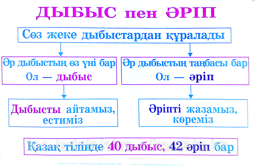 tonik içinde ne var