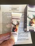 Крем Артидекс (Artidex) для суставов, фото 2