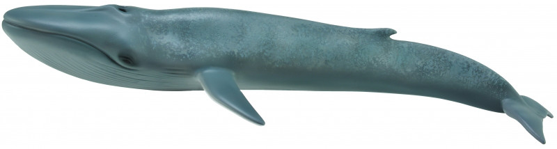 Collecta Фигурка Голубой кит, 28.5 см