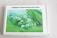 Гербарий Лекарственные растения (20 видов)