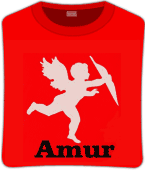Футболка unisex с принтом «Amur», фото 1
