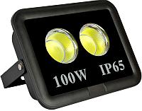 Прожектор ZILED COB100W,AC 85-265V, 6500K ZI-00080 Прожектор ZILED COB100W,AC 85-265V, 6500K