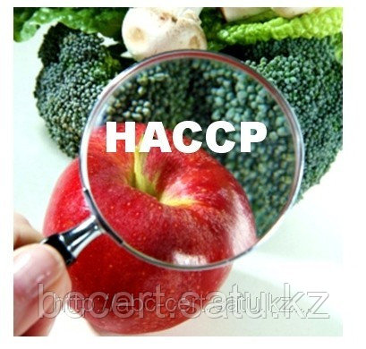 Сертификация ХАССП/HACCP ИСО 22000 - фото 2 - id-p3815826