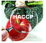 Сертификация ХАССП/HACCP ИСО 22000, фото 2