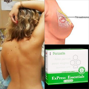 Основной раздел