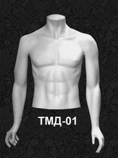 Манекен-торс для одежды  мужской ТМД 01