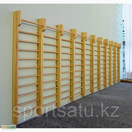 Стенка гимнастическая (шведская стенка)