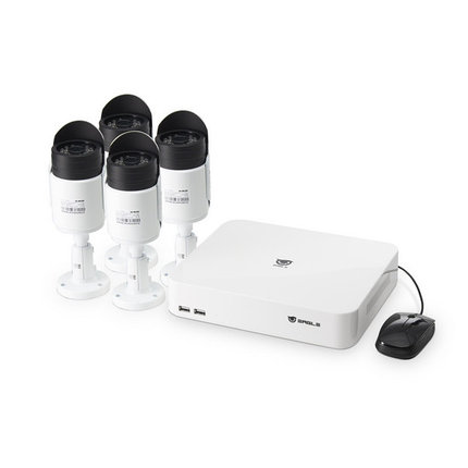 EAGLE Комплект сетевого видеонаблюдения EGL-NH2004-HP-360, фото 2